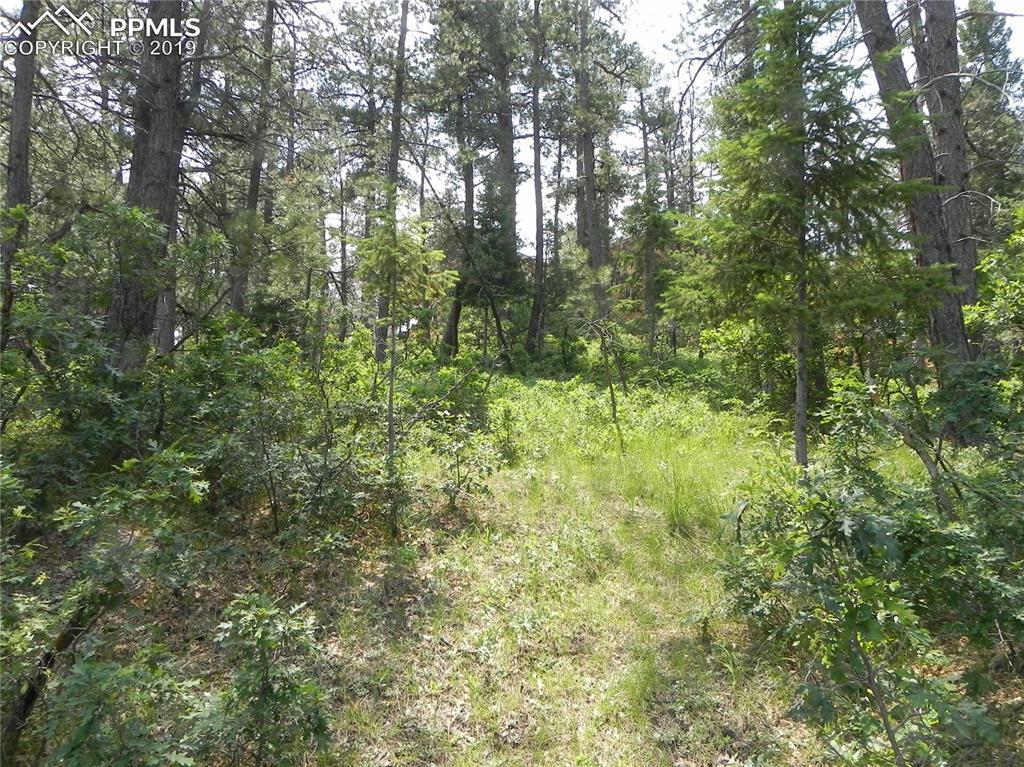 8029 Inca Road - Photo 1