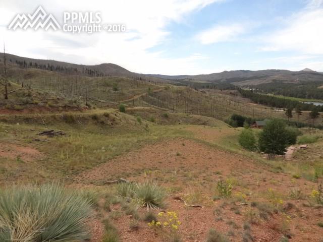 TBD Columbine Circle - Photo 1