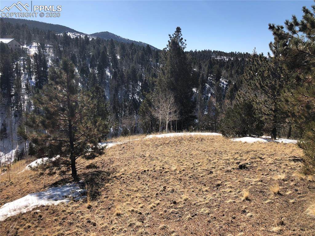 16 Princess Lane - Photo 1