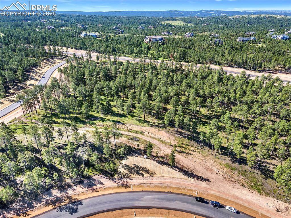 14832 Quartz Creek Road - Photo 1