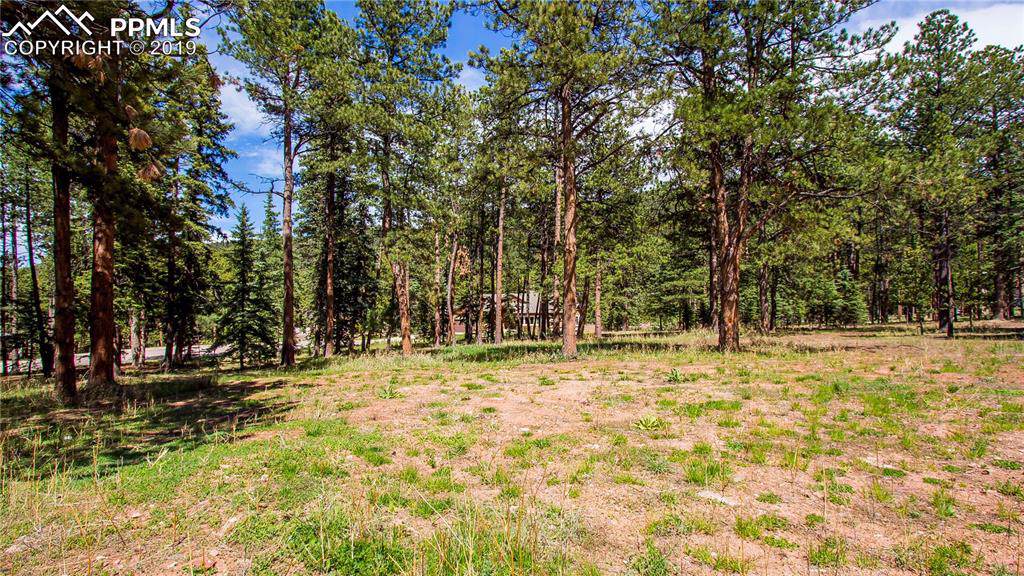 645 Chipmunk Drive - Photo 1