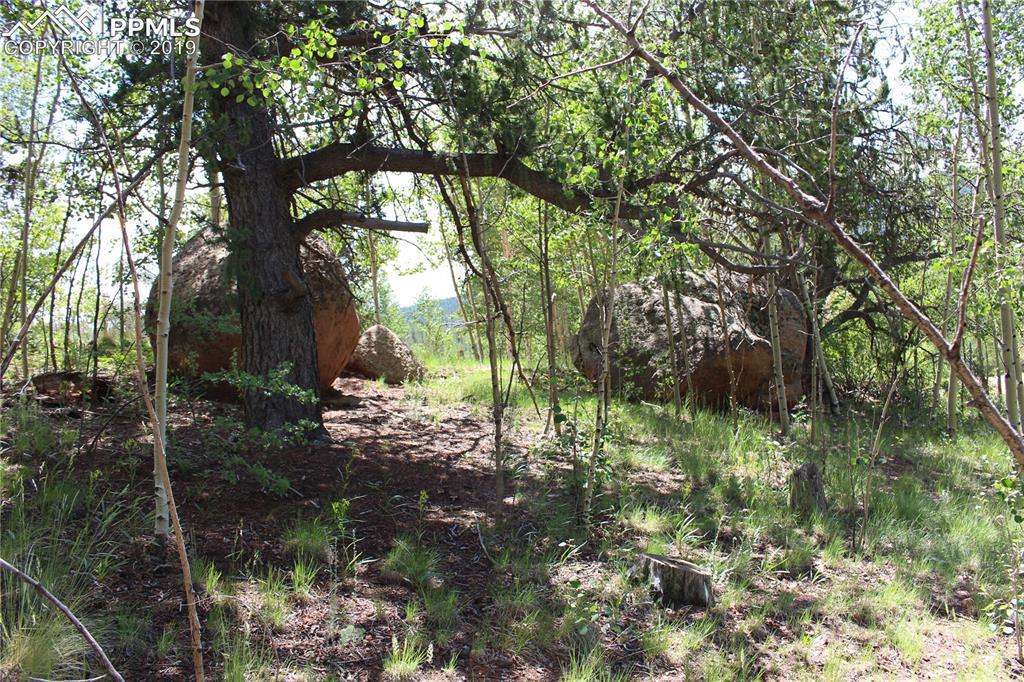 565 Fairview Drive - Photo 1