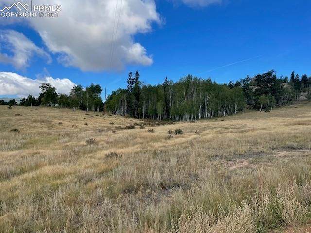 34 Buckskin Lane - Photo 1