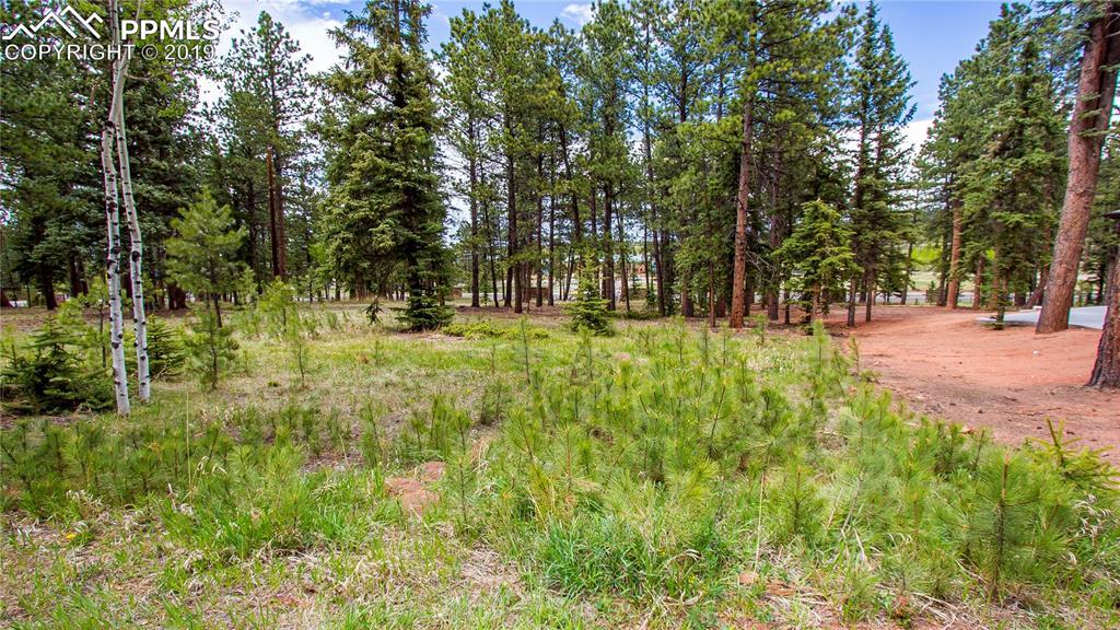 620 Chipmunk Drive - Photo 1