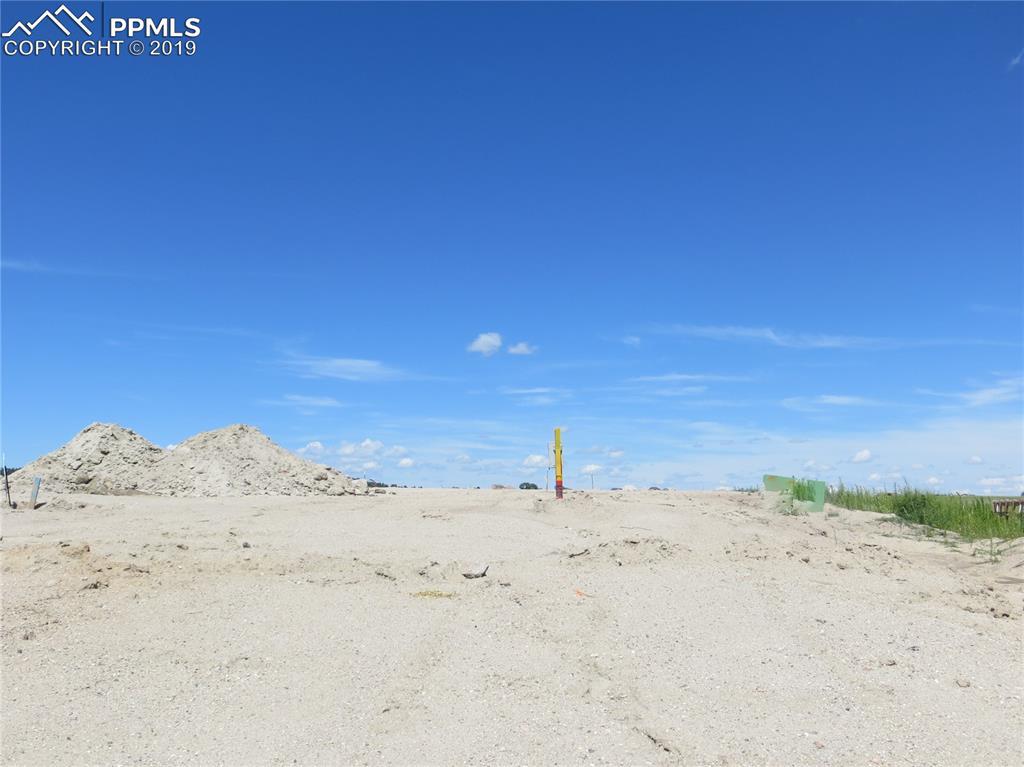 9607 Wolf Lake Drive - Photo 1