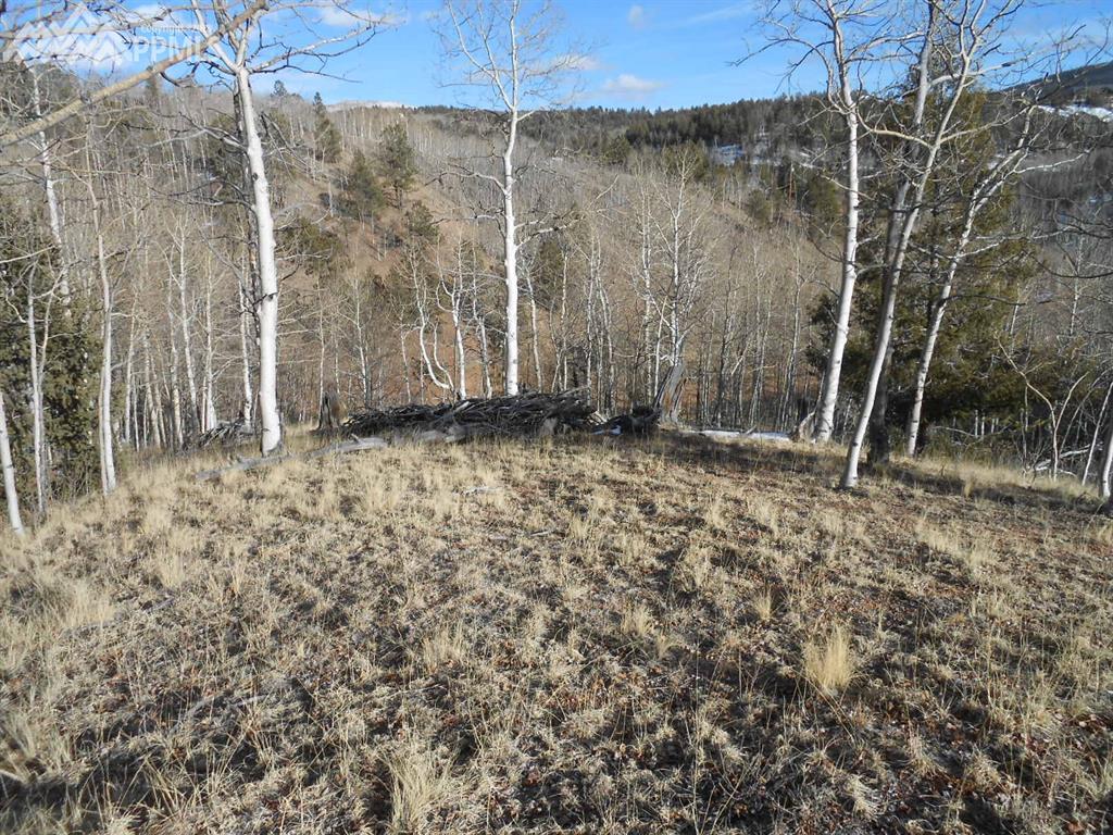 137 No Name Lane - Photo 1