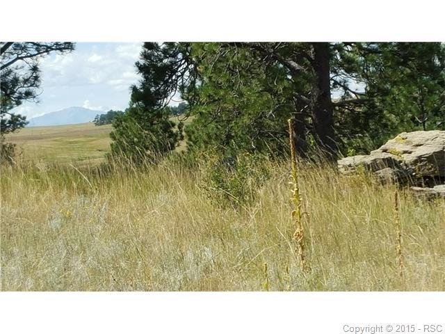 21623 Comanche Creek Drive - Photo 1