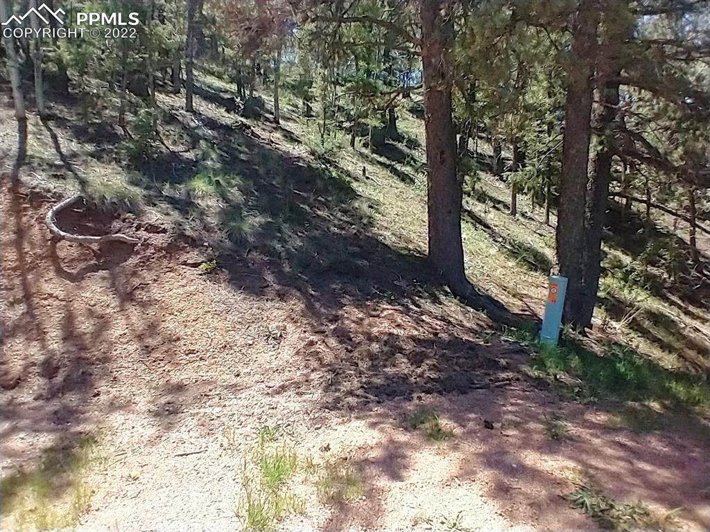 138 Glenwood Lane - Photo 1