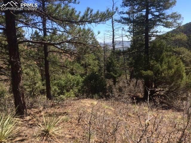 251 High Ridge View - Photo 1