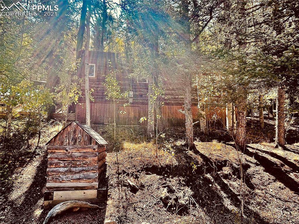 169 Giggey Grove - Photo 1