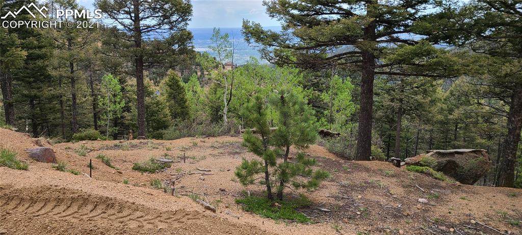 TBD Ponderosa Way - Photo 1