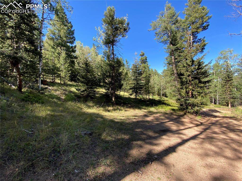 75 Waterfall Trail - Photo 1