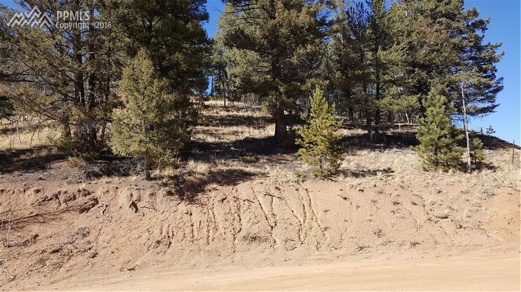 16 Horseshoe Drive - Photo 1