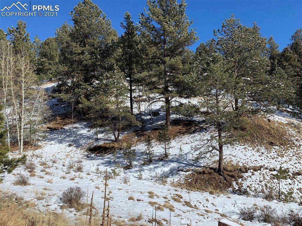 204 Idlewild Drive - Photo 1