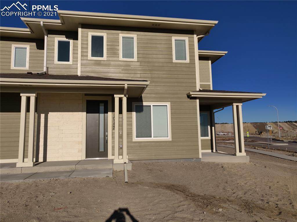 10157 Vervain View - Photo 1