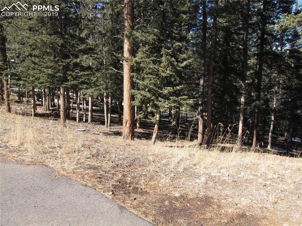 240 Iron Eagle Point - Photo 1