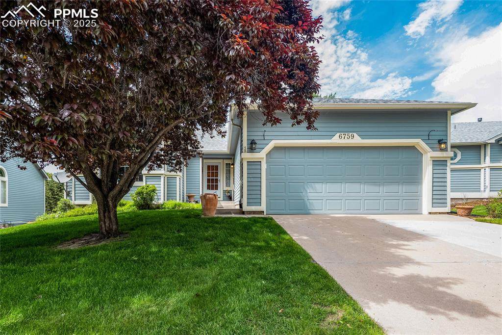 6759 Showhorse Court - Photo 1
