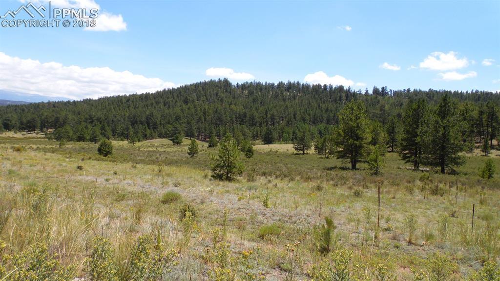 4095 Doe Valley Road - Photo 1