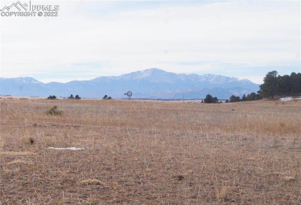 9040 Walker Road - Photo 1