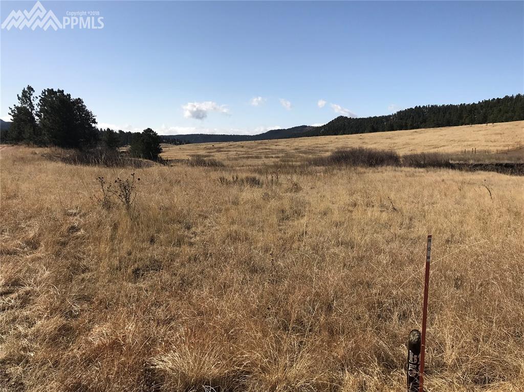 466 Spring Valley Drive - Photo 1