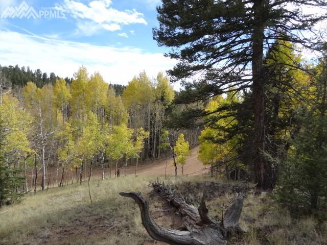 2911 Mountain Estates Road - Photo 1