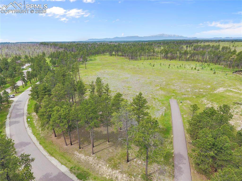 14894 Snowy Pine Point - Photo 1 14894 Snowy Pine Point - Photo 1