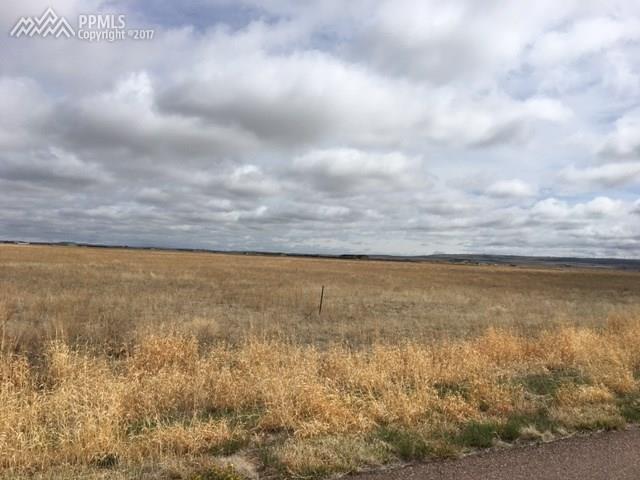 22261 Osteen Court - Photo 1