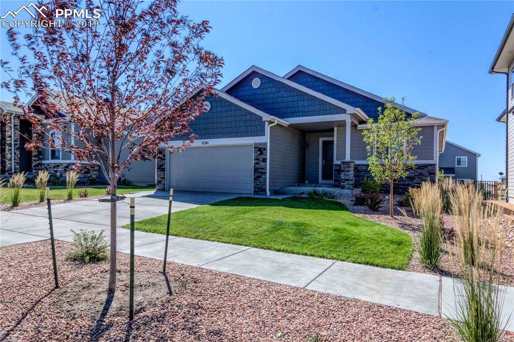 8341 Misty Moon Drive - Photo 1