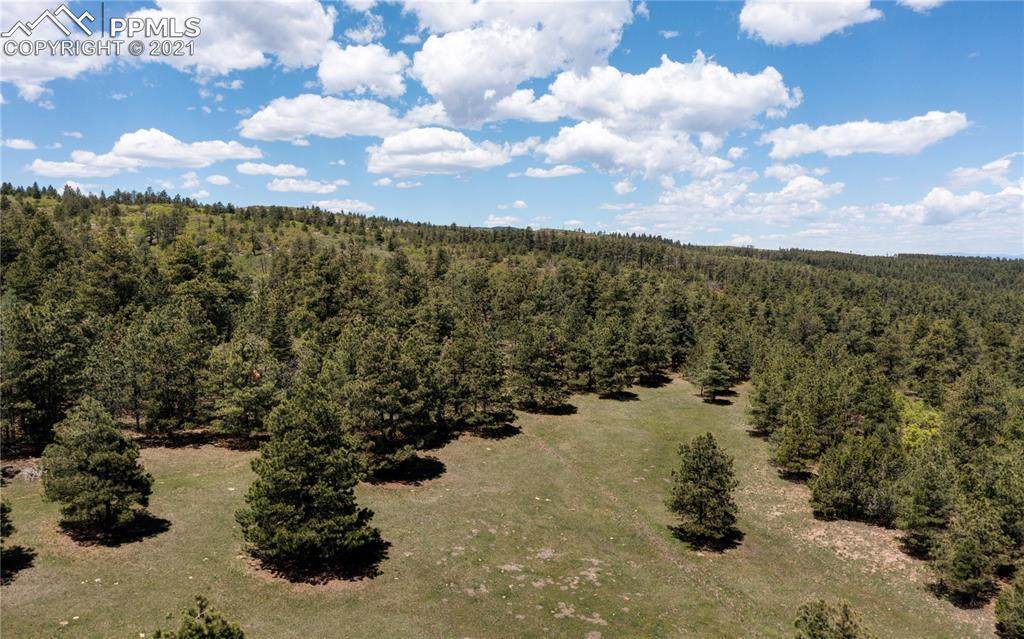 00 Ponderosa Pine Drive - Photo 1