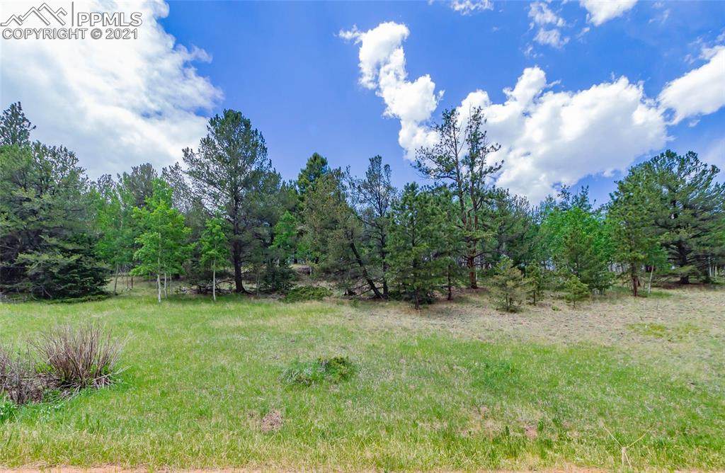 185 Willow Road - Photo 1