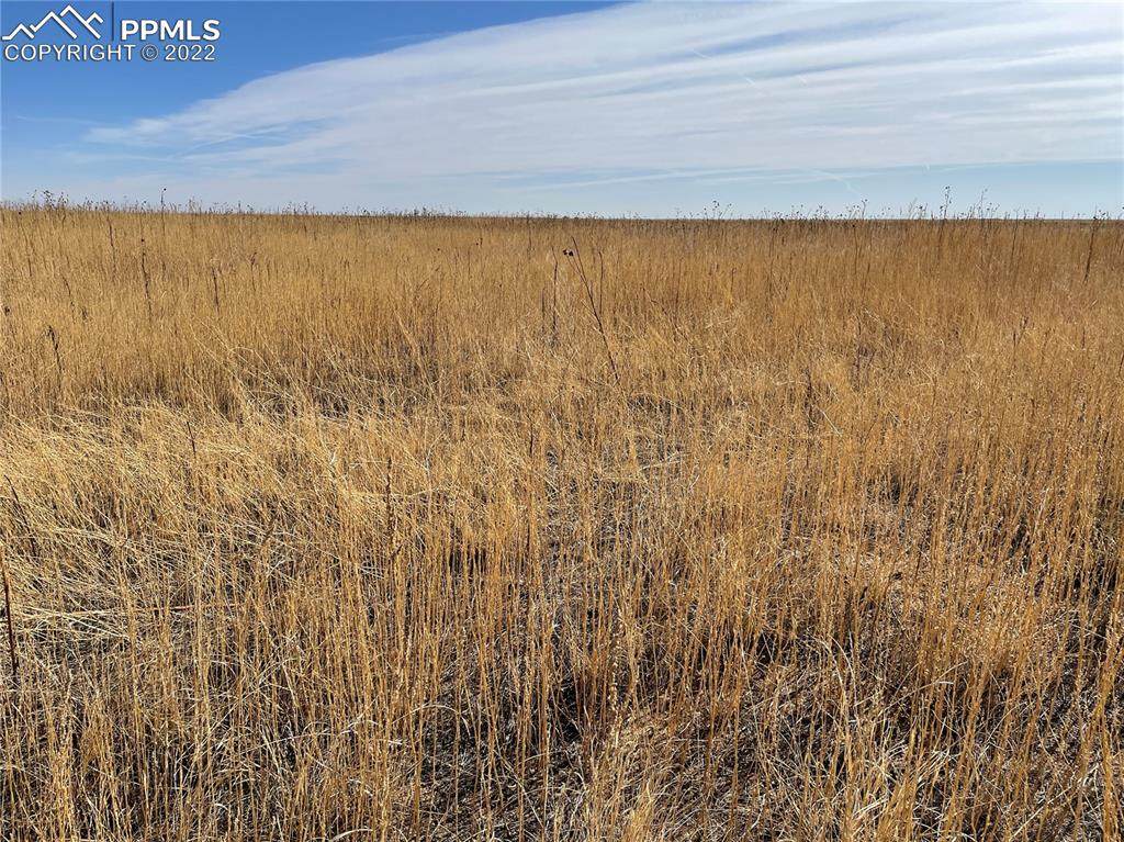00001 County Road 26 Road - Photo 1