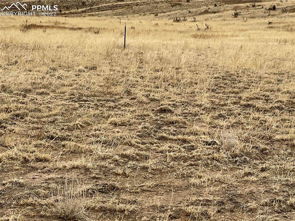 Longhorn Point - Photo 1