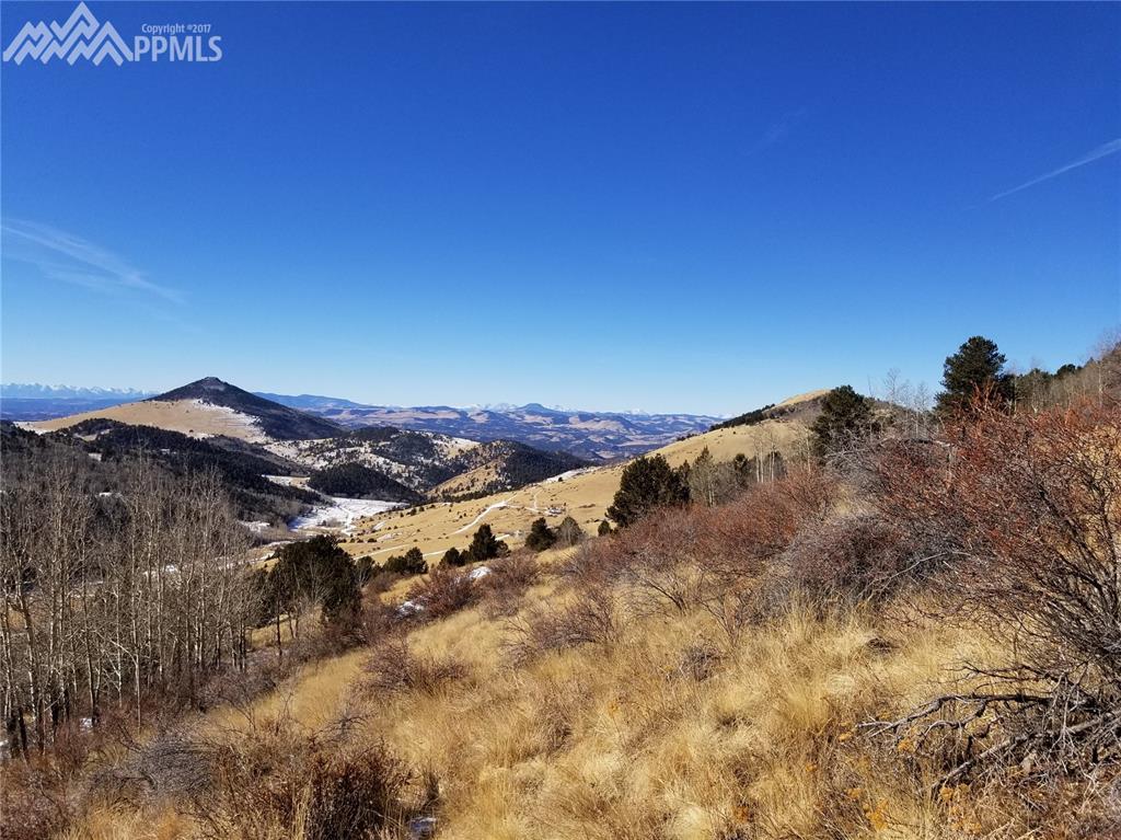TBD 6 Rhyolite Mountain Mesa Road - Photo 1