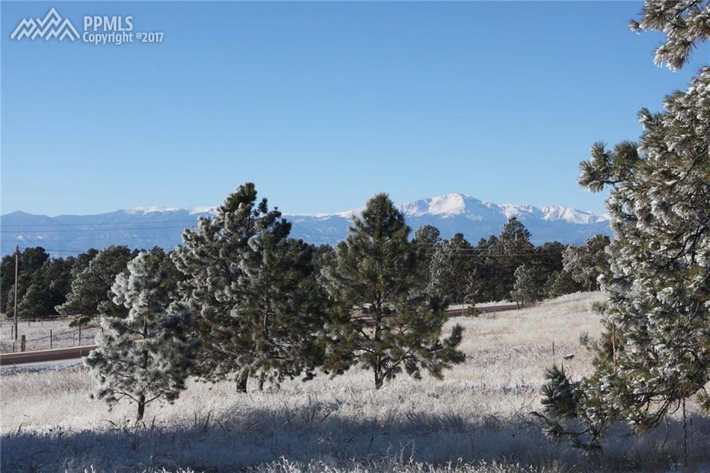 10553 Armonia Ranch Court - Photo 1