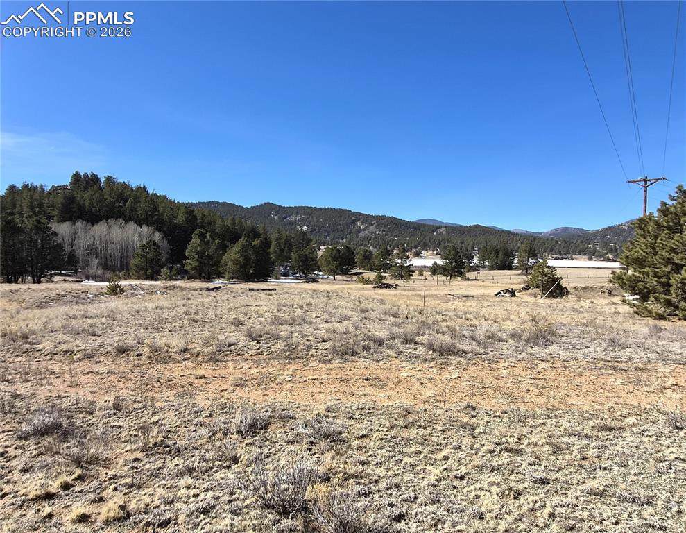38340 Highway 24 - Photo 1