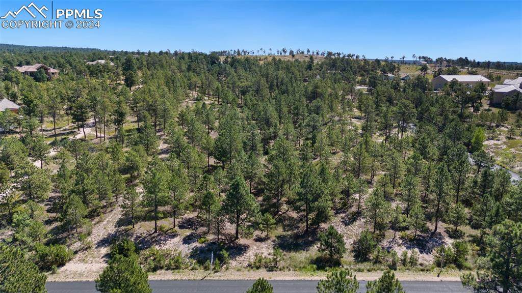 13475 Winslow Drive - Photo 1