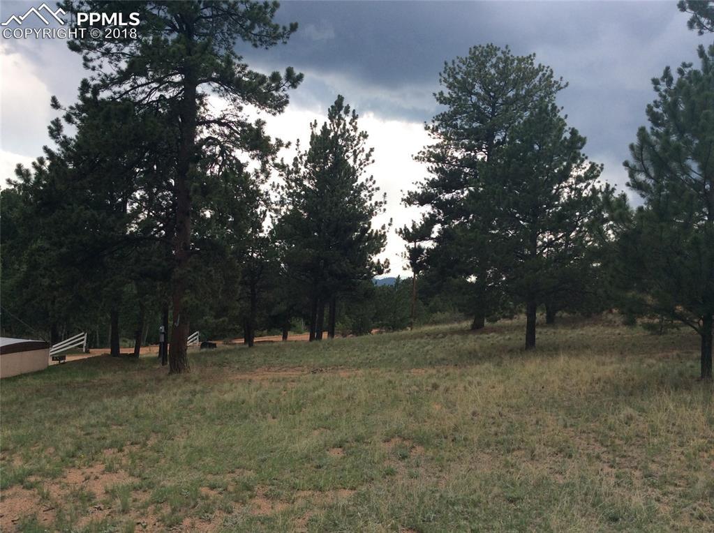 3140 Pikes Peak Drive - Photo 1