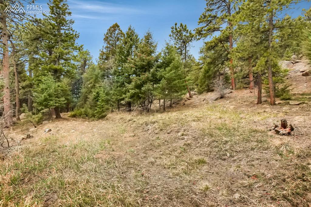 8537 Doubleheader Ranch Road - Photo 1