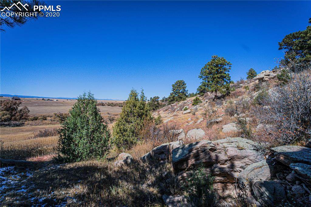 11535 Cave Spring Road - Photo 1