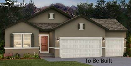 9273 Old Divide Drive - Photo 1