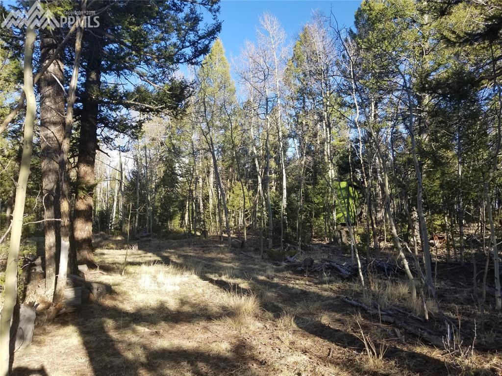 144 Timberline Drive - Photo 1