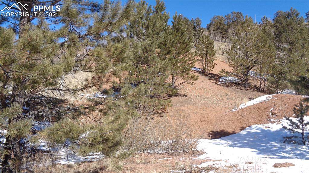 5884 Teller 1 Road - Photo 1