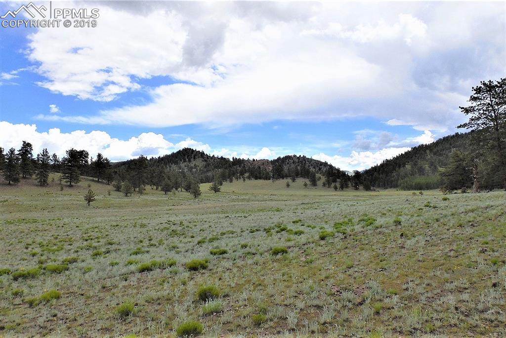 Lot 123 Antelope Lane - Photo 1