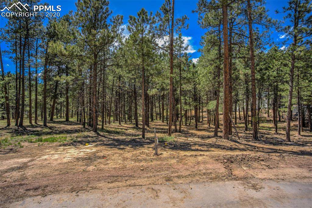 15450 Billings Court - Photo 1