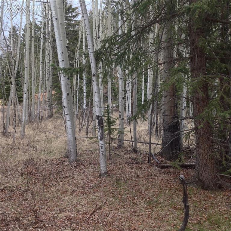 3167 Mountain Estates Road - Photo 1