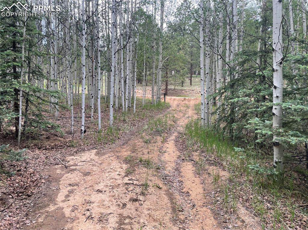 86 Bear Creek Drive - Photo 1