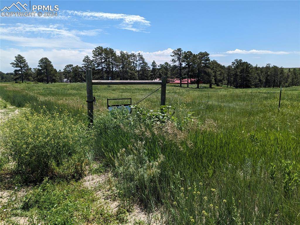 16660 Wild Horseshoe View - Photo 1