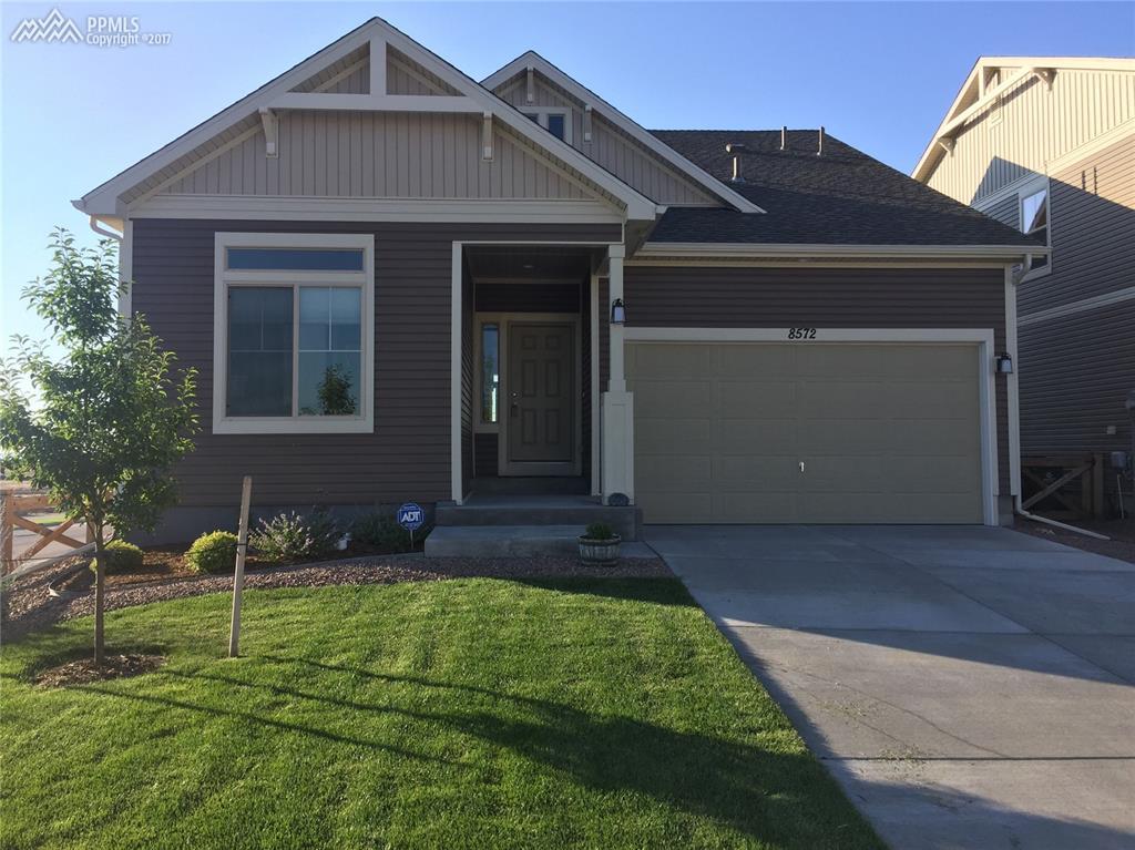 8572 Briar Brush Lane - Photo 1