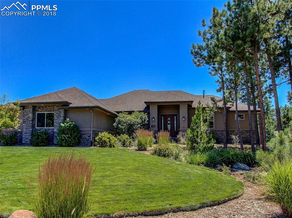 7431 Cameron Drive - Photo 1