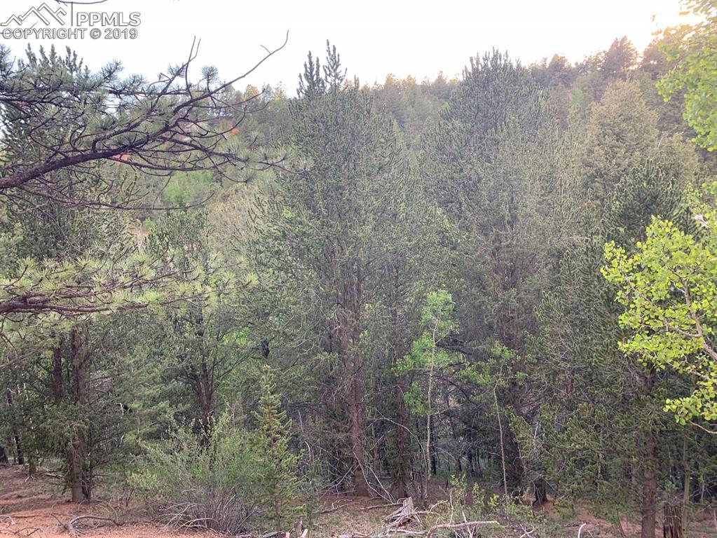1600 Pikes Peak Drive - Photo 1